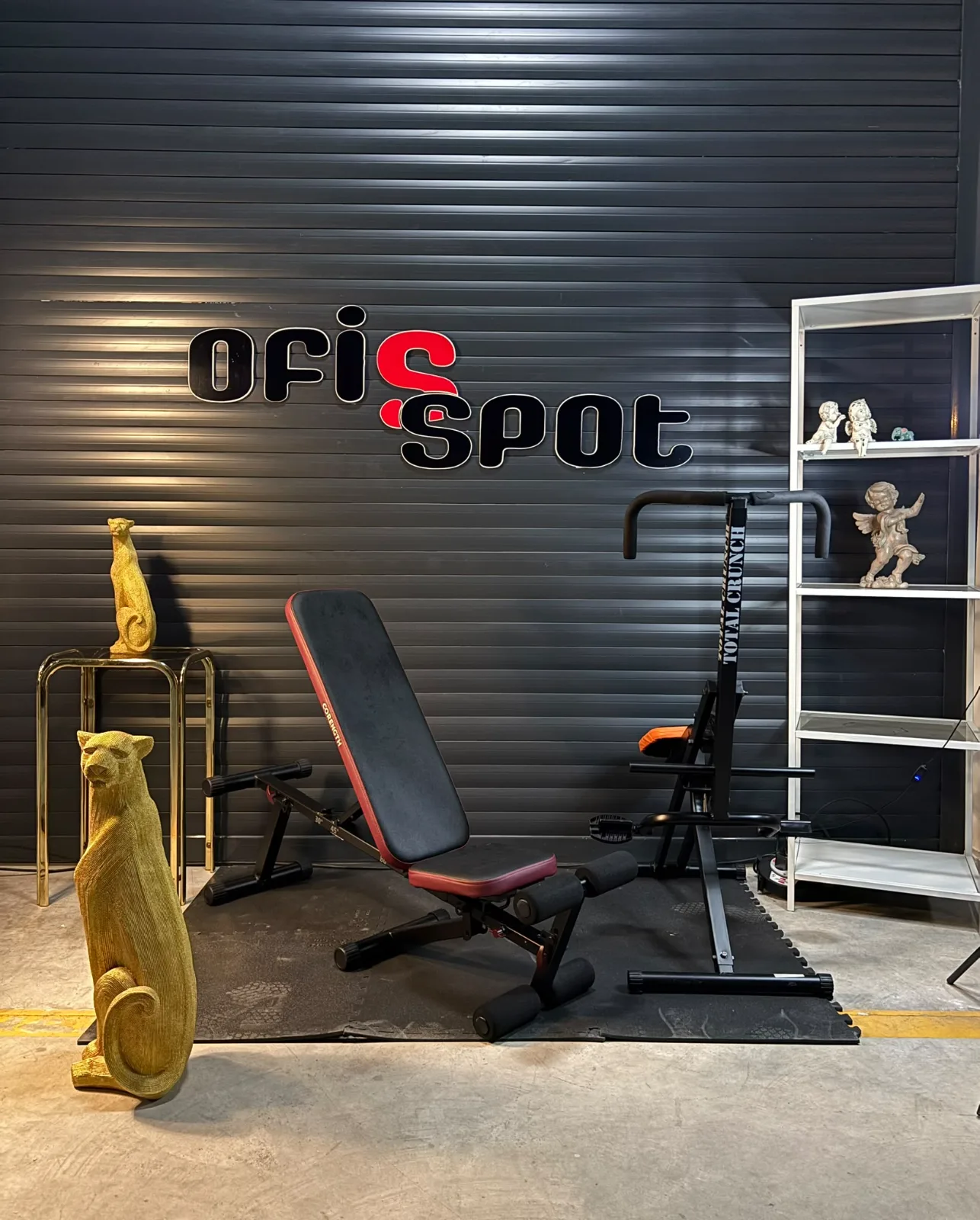 Spor aletleri - Küçük Görsel 4